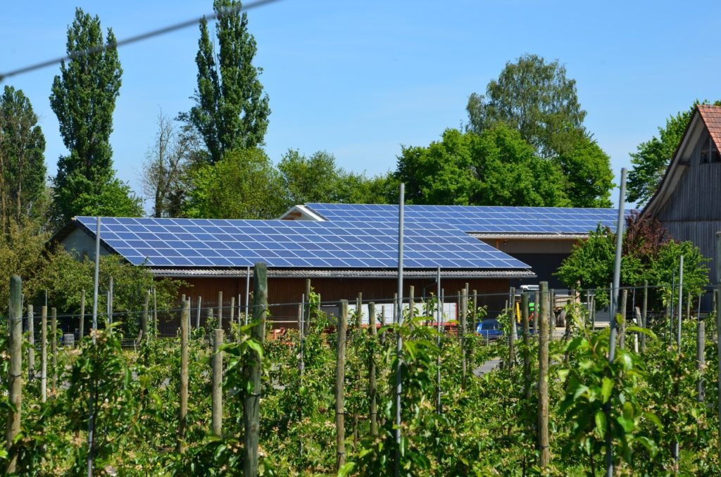 Renewable Energy Solar